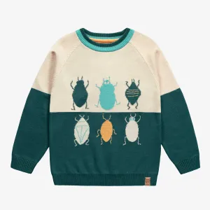 Chandail de maille à manches longue vert et crème à motif jacquard insecte, enfant || Long sleeves knitted sweater in green and cream with insect jacquard pattern, child