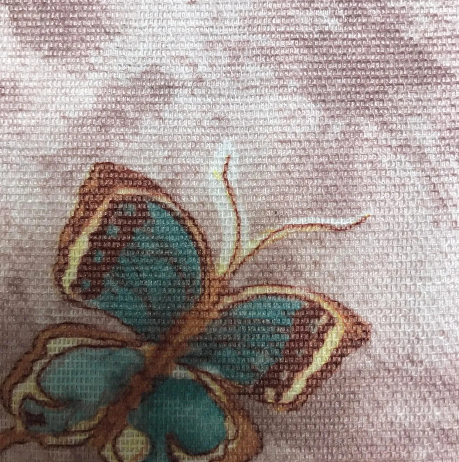 HOODIE BUNNY/BUTTERFLIES