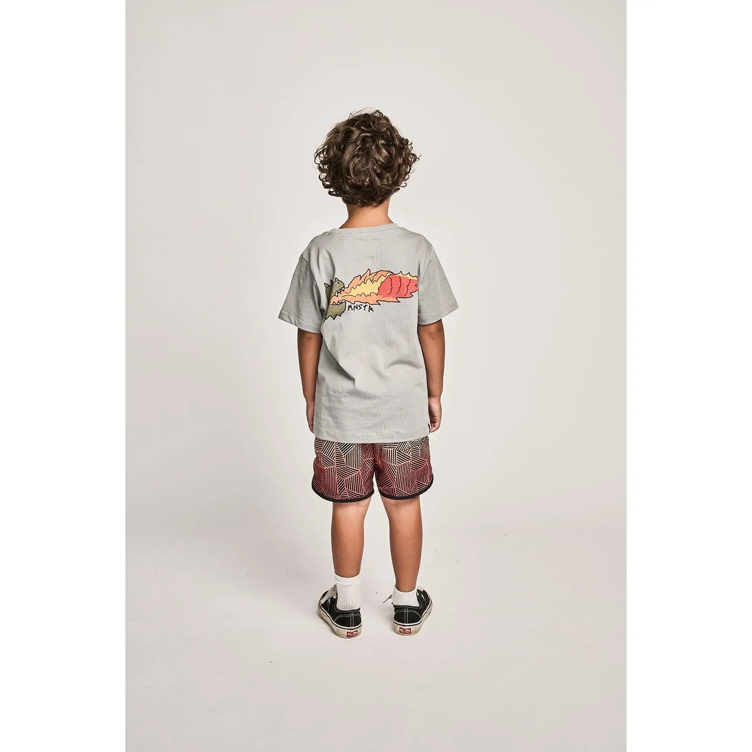 Wavebuoys Bshort - Peach Stripe