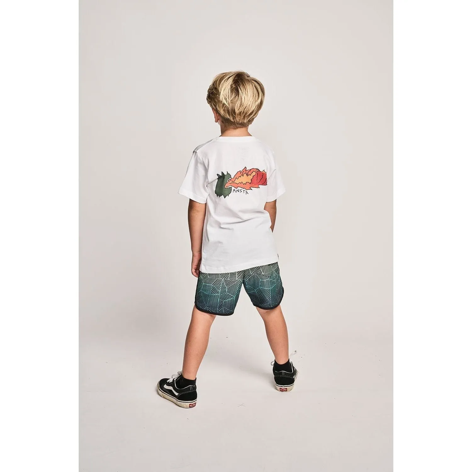 Wavebuoys Bshort - Teal Stripe